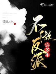 不做反派许多年封面