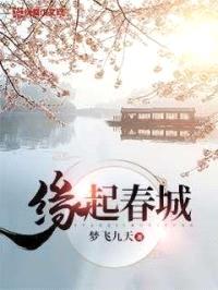 缘起春城封面
