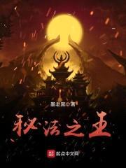 秘法之王封面