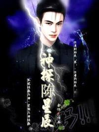 神探陈星辰封面