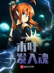 木叶一发入魂封面