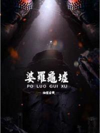 袖里玄机之婆罗龟墟封面