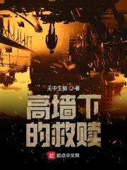 高墙下的救赎封面