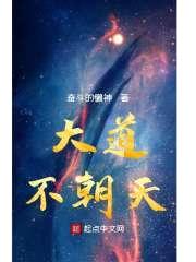大道不朝天封面
