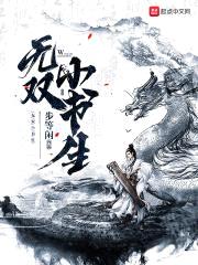 无双小书生封面