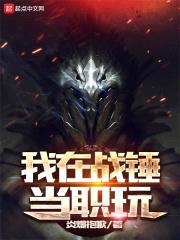 我在战锤当职玩封面