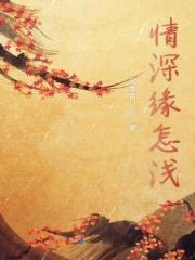 情深缘怎浅封面