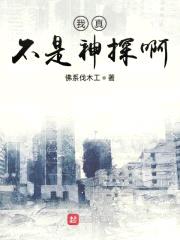 我真不是神探啊封面