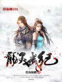 龙灵武纪封面
