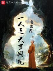 一人之大罗洞观封面