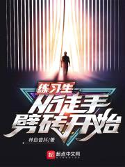 练习生从徒手劈砖开始封面