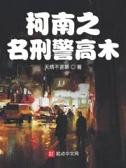 柯南之名刑警高木封面