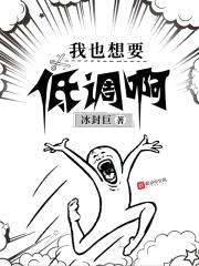 我也想要低调啊封面