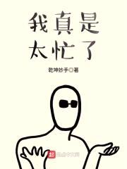 我真是太忙了封面