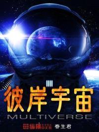 彼岸宇宙封面