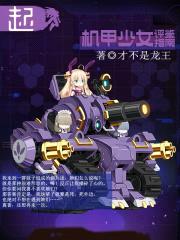 机甲少女评鉴指南封面