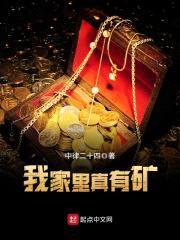 我家里真有矿封面