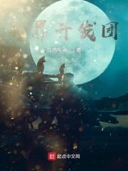 闪亮中华之异界开发团封面