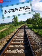 永不独行的挑战封面