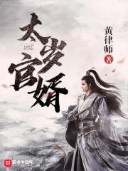 太岁官婿封面