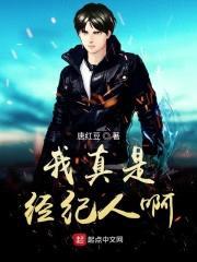 我真是经纪人啊封面