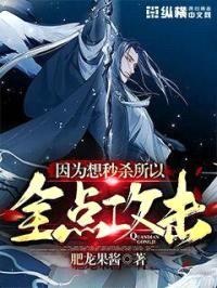 因为想秒杀所以全点攻击封面