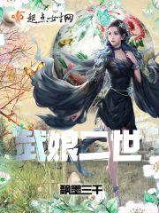 武娘二世封面