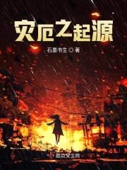 灾厄之起源封面