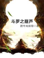 斗罗之葫芦封面