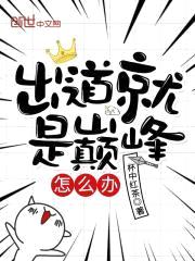 出道就是巅峰怎么办封面