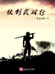 仗剑武林行封面