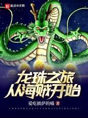 龙珠之旅从海贼开始封面