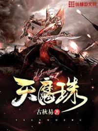 天魔珠封面