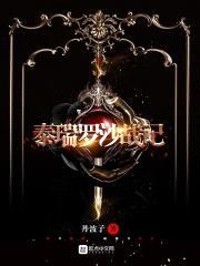 泰瑞罗沙战记封面