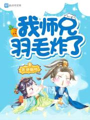 我师兄羽毛炸了封面