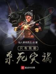 只有我能杀死灾祸封面