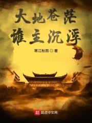 大地苍茫谁主沉浮封面