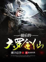 最后的大罗金仙封面