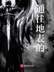 通往地表的冒险封面