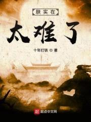 朕实在太难了封面