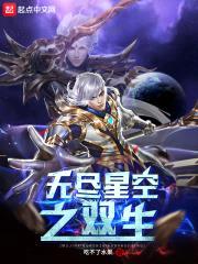 无尽星空之双生封面