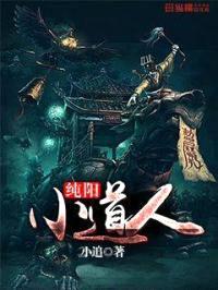 纯阳小道人封面