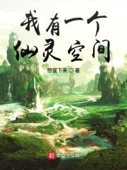 我有一个仙灵空间封面