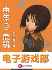 中年危机电子游戏部封面