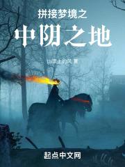 拼接梦境之中阴之地封面