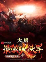 大唐最强火头军封面