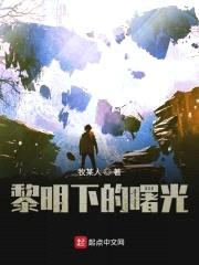 黎明下的曙光封面