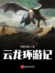 云龙环游记封面
