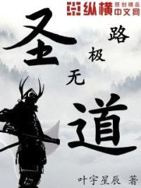 圣道无极路封面