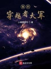 我的穿越者大军封面